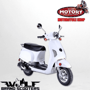 Motory Motorcycle(Galeria) (39)