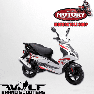 Motory Motorcycle(Galeria) (40)